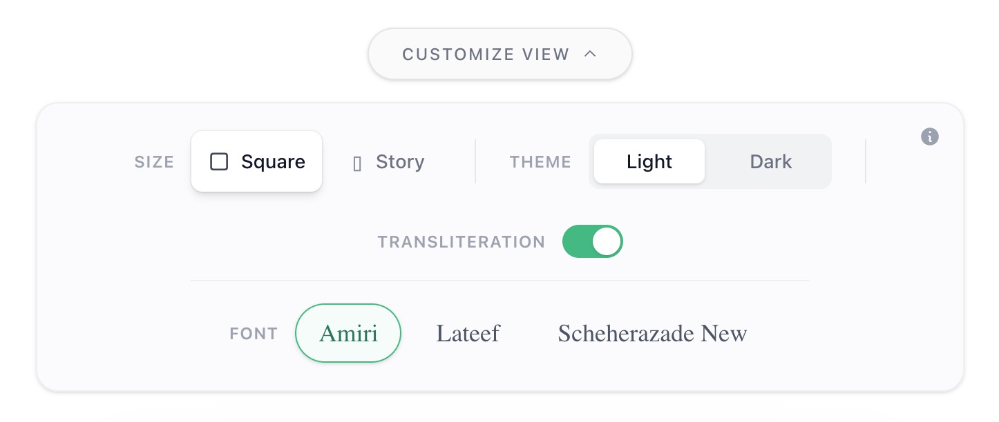 Toggle to add Transliteration to the canvas